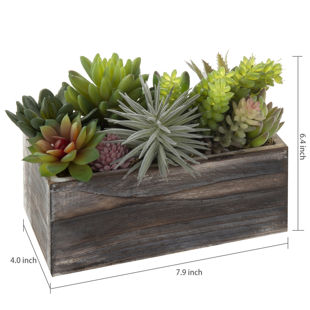 Millwood Pines 8 Piece Artificial Succulent Plant in Planter Set